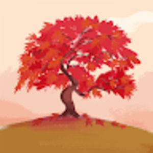 Meet your Posher, Carolina